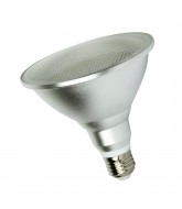 Vive LED Par38 Lamp